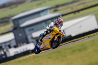PJ-Motorsport-2019;anglesey-no-limits-trackday;anglesey-photographs;anglesey-trackday-photographs;enduro-digital-images;event-digital-images;eventdigitalimages;no-limits-trackdays;peter-wileman-photography;racing-digital-images;trac-mon;trackday-digital-images;trackday-photos;ty-croes